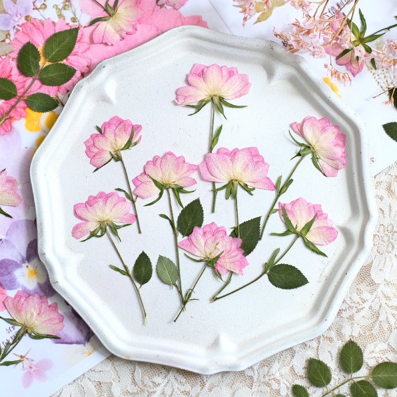 12 peças, Flores Secas Reais P - Resin Craft Ideas avaliação e preço